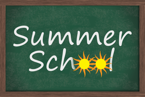  Summer School